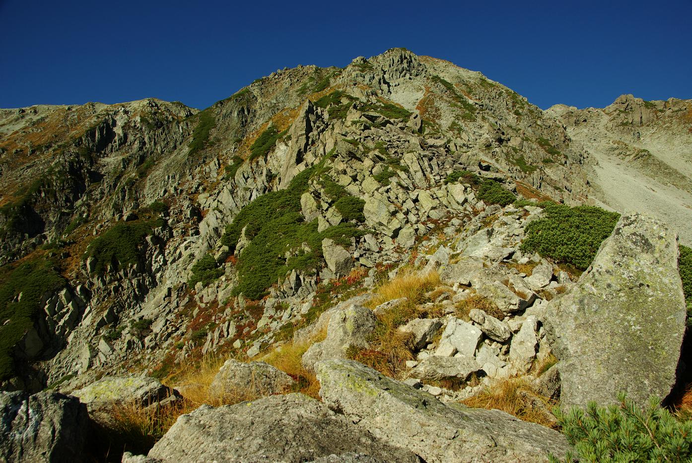 b0062024_882375.jpg