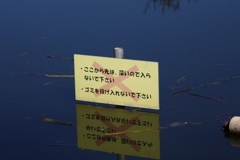 e0162524_1222412.jpg