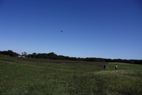 e0162524_1223505.jpg