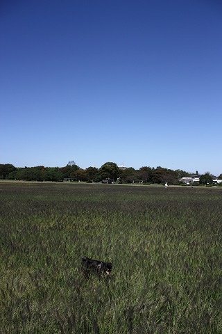 e0162524_12243879.jpg