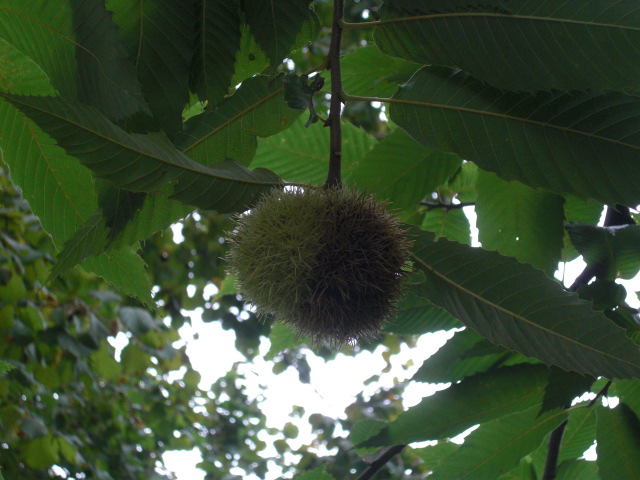 f0173324_18281759.jpg
