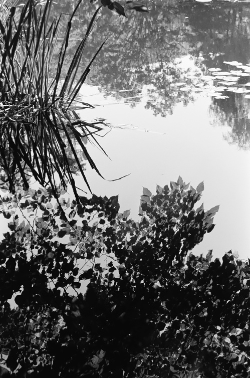 f0182924_20395829.jpg