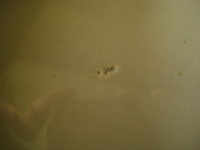 d0147727_20515328.jpg