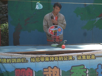 f0139029_10502542.jpg