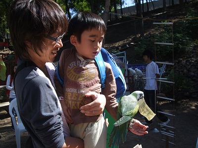f0139029_10533118.jpg