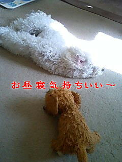 c0117239_18354189.jpg