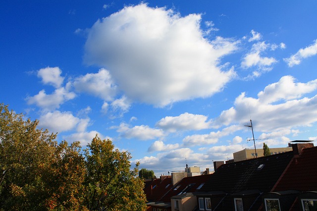 c0153740_252307.jpg