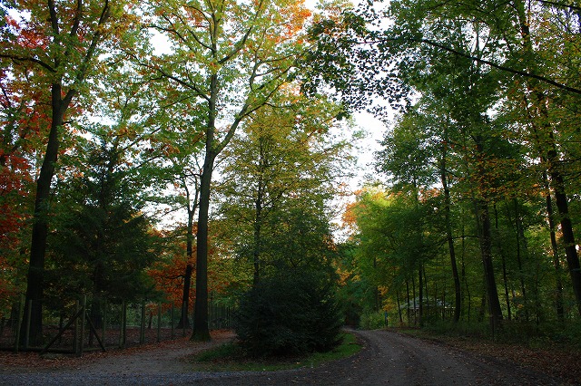 c0153740_3112622.jpg