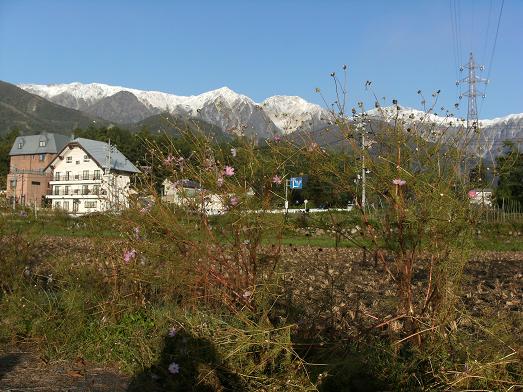 a0124543_21571397.jpg