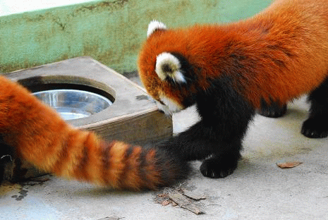 f0014748_259759.gif