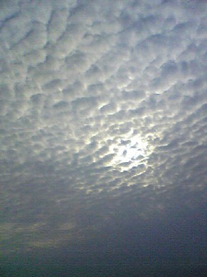 e0047949_0383472.jpg