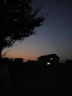 e0065350_0162568.jpg