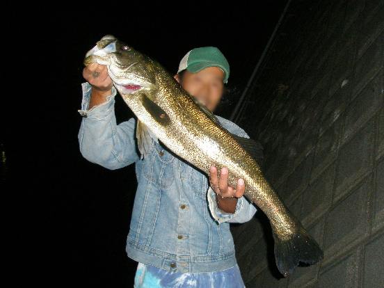 f0150151_22172723.jpg