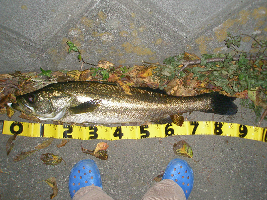 f0150151_2217341.jpg
