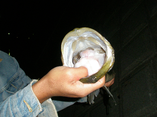 f0150151_2217481.jpg