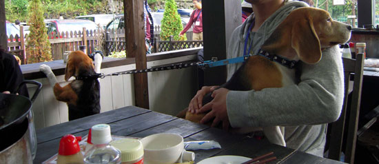b0005652_21483560.jpg