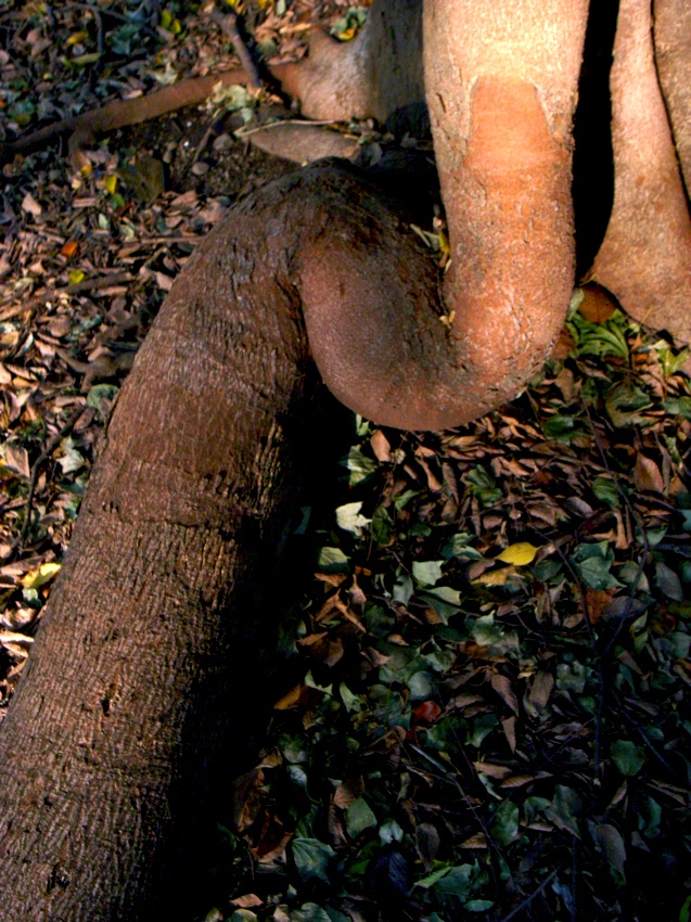 c0138553_23143141.jpg