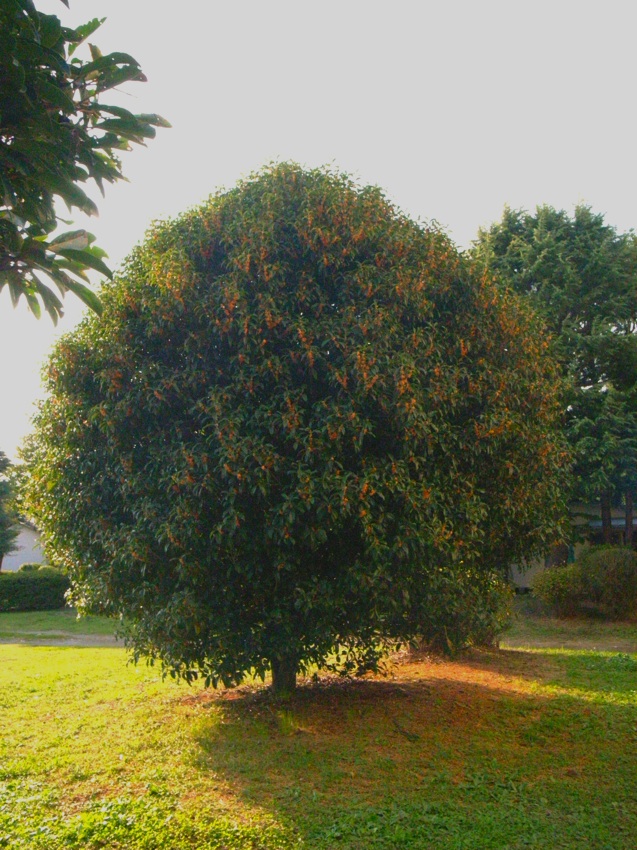 c0138553_23174089.jpg
