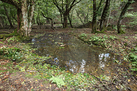 e0113053_22134764.jpg