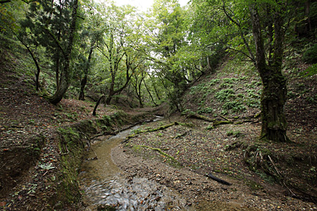e0113053_22141215.jpg