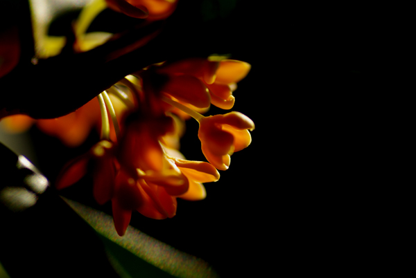 f0176353_23132121.jpg