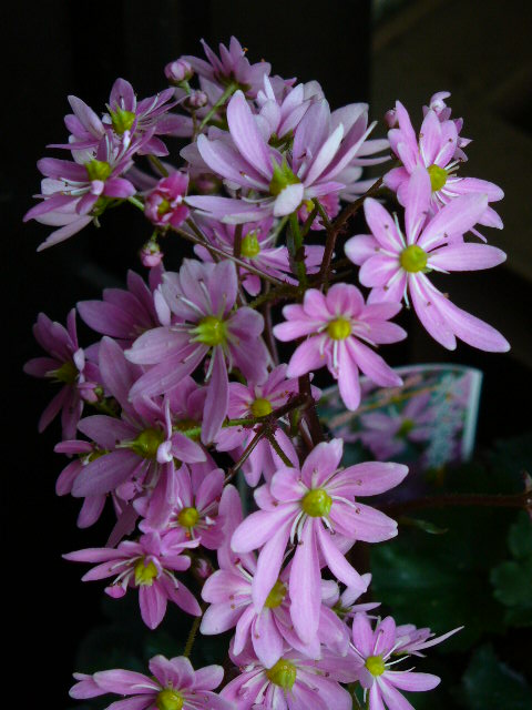 f0074659_23343433.jpg