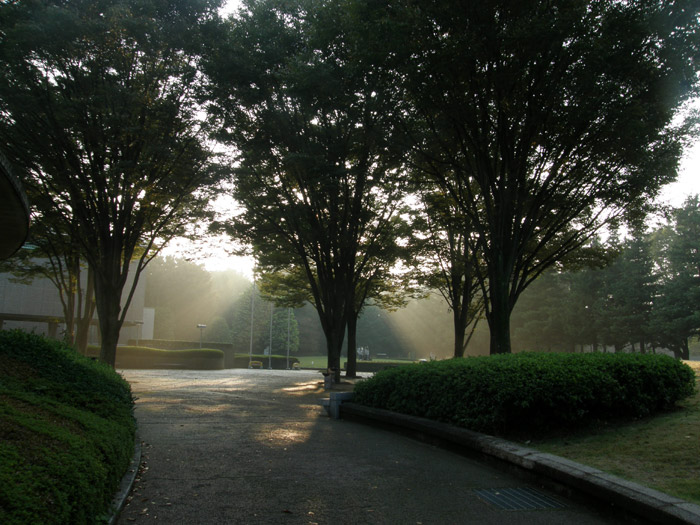 c0110361_15162814.jpg