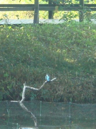 c0113964_20112883.jpg