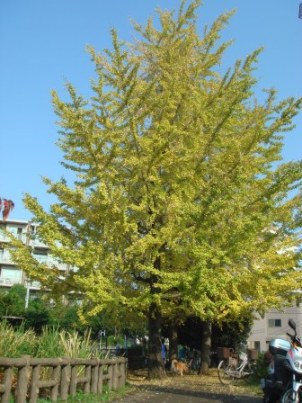 c0113964_2042963.jpg