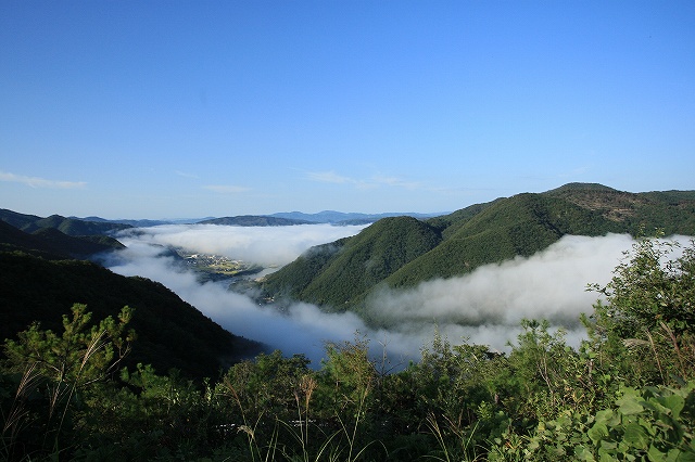 d0128465_7581557.jpg