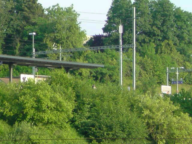 c0110871_17194831.jpg