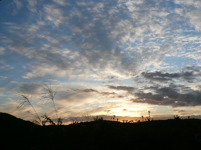 d0147774_2325341.jpg
