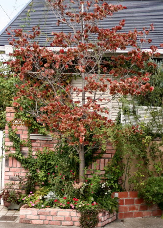 e0154682_23581379.jpg