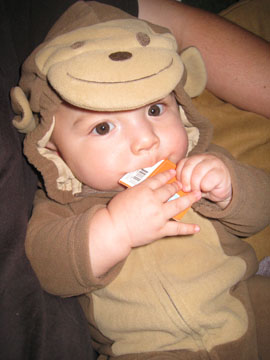 f0068883_1326566.jpg