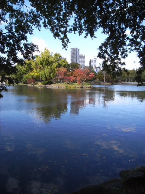 f0163583_22261113.jpg