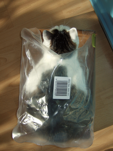 f0181583_4502610.gif