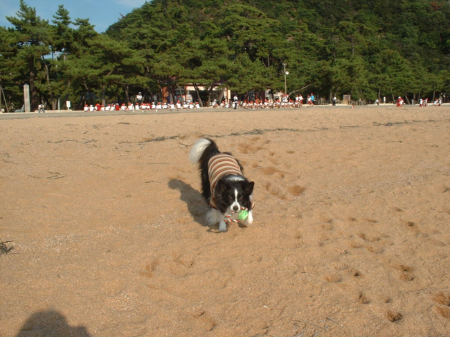 c0120585_20504493.jpg