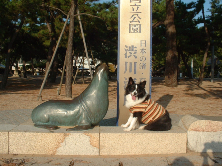 c0120585_20513316.jpg