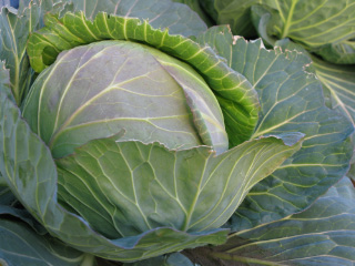 e0165285_11432682.jpg