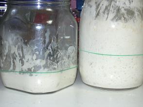 f0196887_15395756.jpg