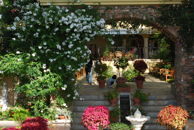 c0156789_2354525.jpg