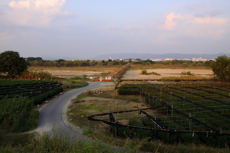 c0208389_1591310.jpg
