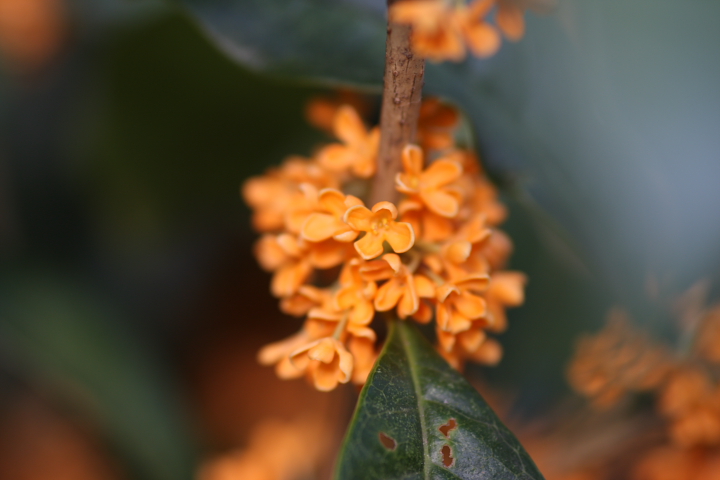 f0164989_235331.jpg