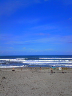 b0080090_1028581.jpg