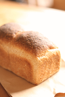 d0100192_1233412.gif