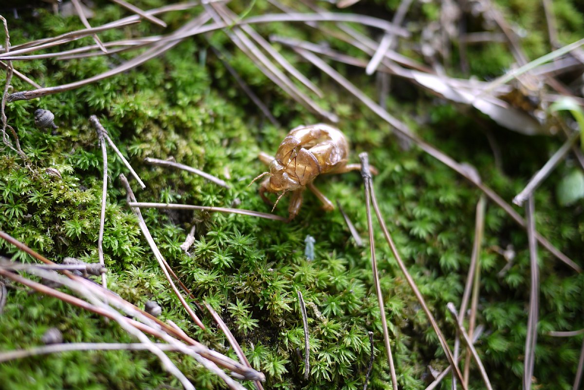c0124795_21564842.jpg