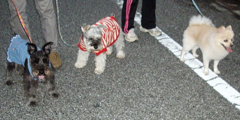 c0138198_14291415.jpg
