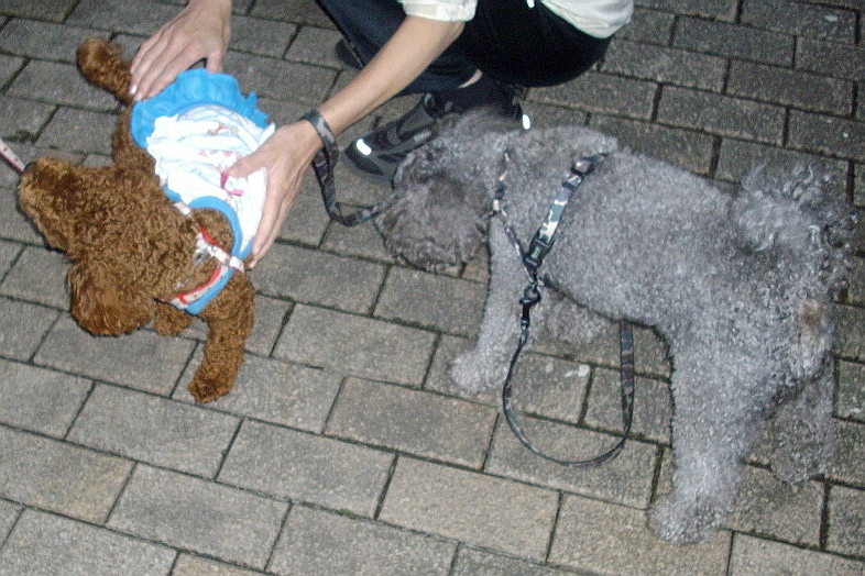 c0138198_1432924.jpg