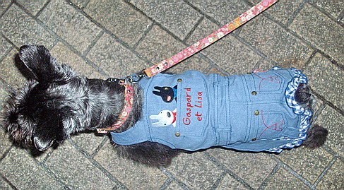 c0138198_14523179.jpg