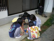 c0146598_2385872.jpg